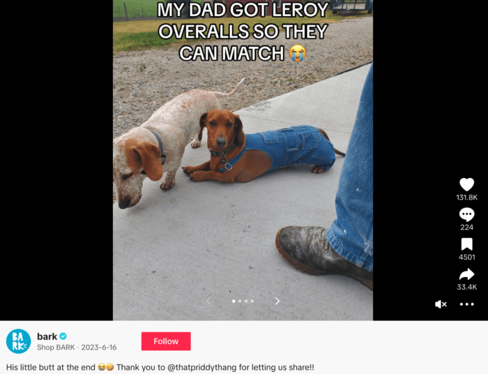 BarkBox post featuring a dog named Leroy in overalls matching his owner. Engagement statistics: 131.8K likes, 224 comments, 4501 saves, and 33.4K shares.